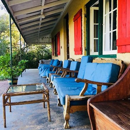 Fairy Knowe Backpackers Lodge Wilderness Luaran gambar
