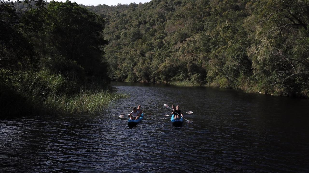 Fairy Knowe Backpackers Lodge Wilderness Luaran gambar