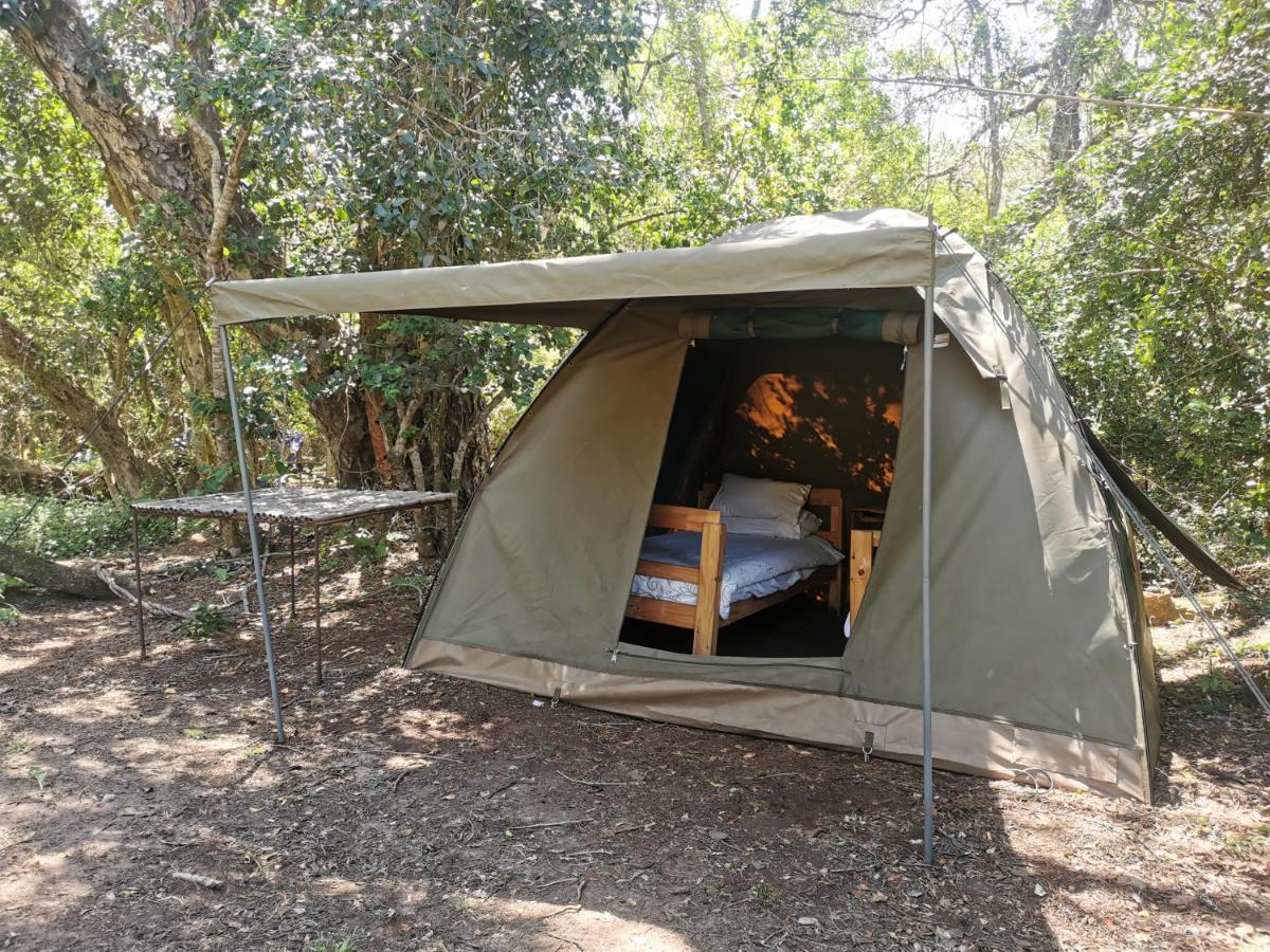 Fairy Knowe Backpackers Lodge Wilderness Luaran gambar