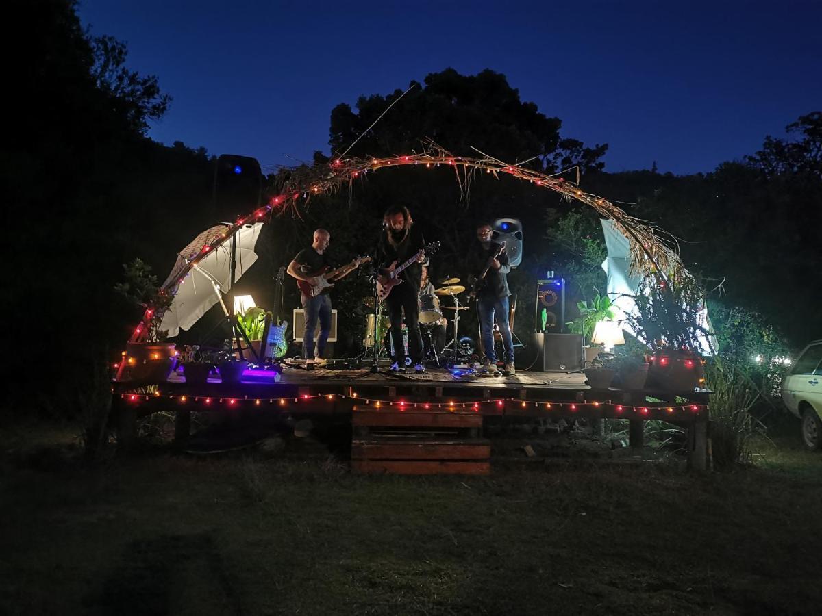 Fairy Knowe Backpackers Lodge Wilderness Luaran gambar