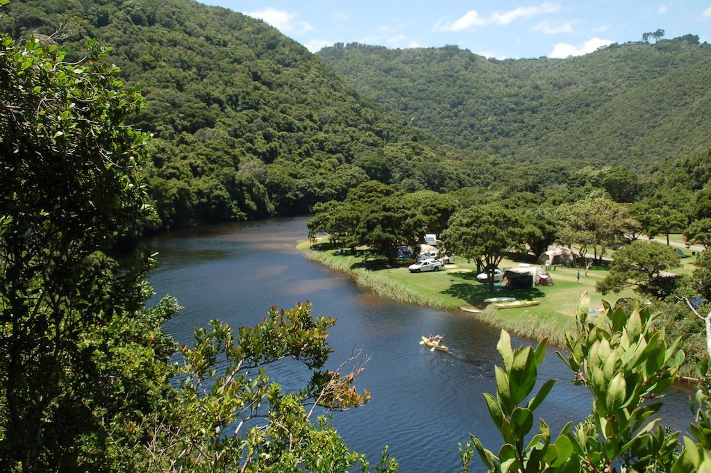 Fairy Knowe Backpackers Lodge Wilderness Luaran gambar