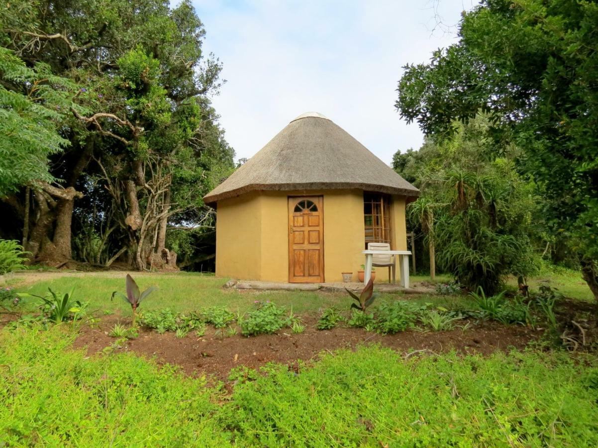 Fairy Knowe Backpackers Lodge Wilderness Luaran gambar
