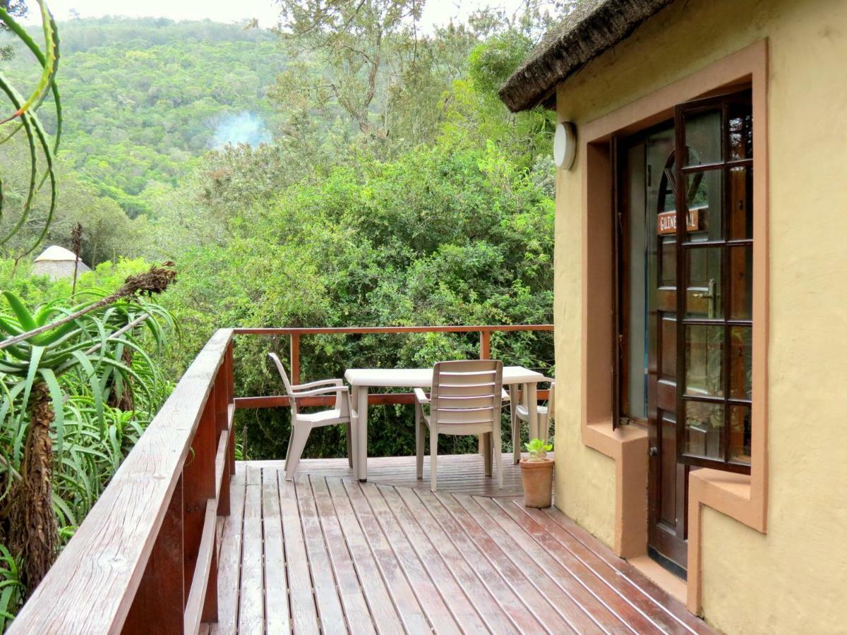 Fairy Knowe Backpackers Lodge Wilderness Luaran gambar